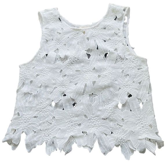 Caution the the Wind White Appliqué Crop Top - Picture 2 of 14